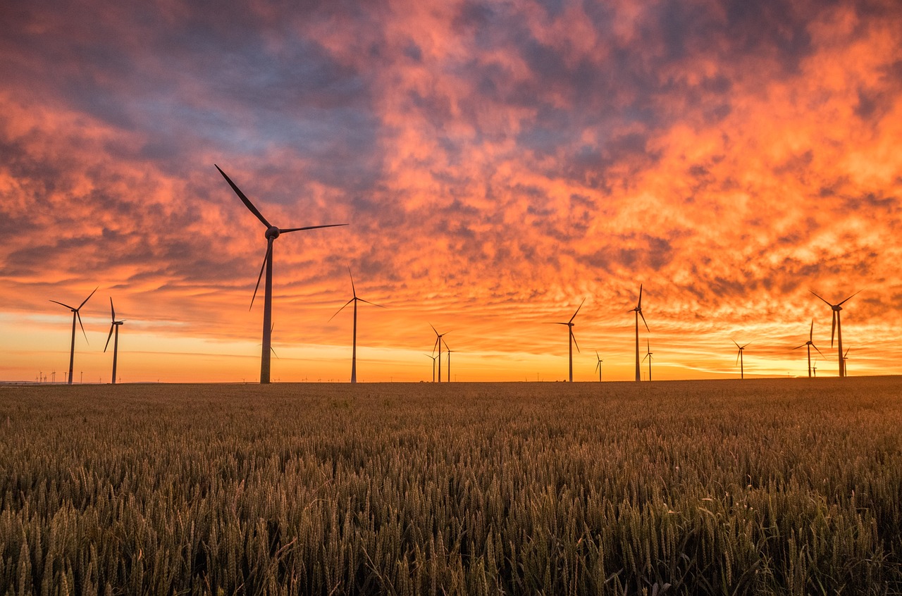 A eólica e a solar são hoje os dois grandes pilares do sistema elétrico português, cada vez mais próximos em peso.